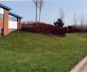 landscaping at commercial property